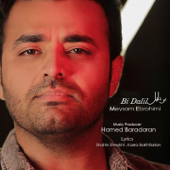 Bi Dalil - Meysam Ebrahimi