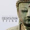 Meditation Tribe - Relaxation Ready lyrics