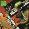 Leroy Hutson - Positive Forces