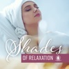 Shades of Relaxation: Healing Sound Therapy for Spa & Massage, Mantra Yoga, Chakra Meditation, Deep Sleep, Relaxing Nature Sounds