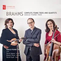 Brahms: Complete Piano Trios and Quartets by Gould Piano Trio album reviews, ratings, credits
