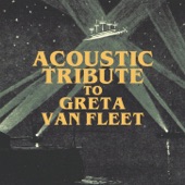 Acoustic Tribute to Greta Van Fleet (Instrumental) artwork
