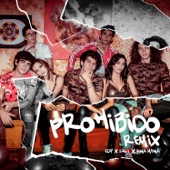 Prohibido (feat. Lali & Ana Mena) [Remix] artwork