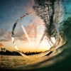 The Wave - Single