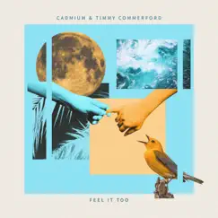 Feel It Too - Single by Timmy Commerford & Cadmium album reviews, ratings, credits