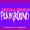 Playground (Cyantific Remix) [feat. Shakka] - Lethal Bizzle lyrics