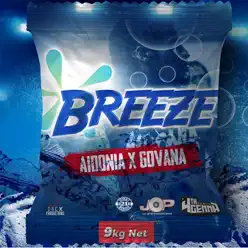 Breeze (Production by Jayds) - Single - Aidonia