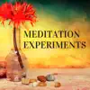 Meditation Experiments: Pranayama Yoga Music to Focus on the Breath and Being Aware album lyrics, reviews, download
