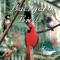 Back Yard Birds - Naturescapes Music lyrics