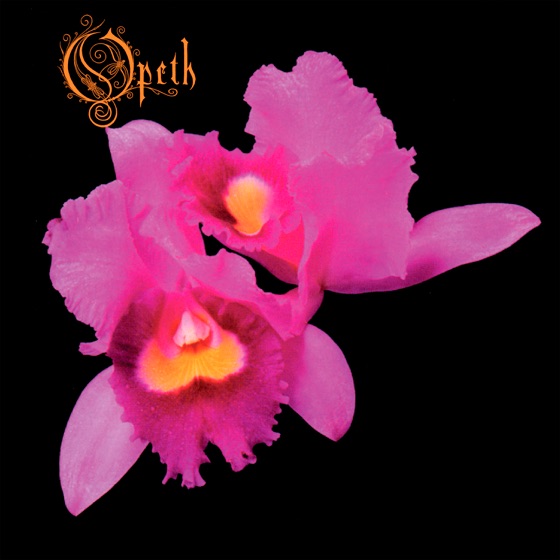 Cover artwork for The Twilight Is My Robe