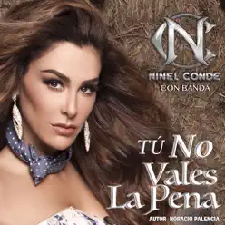 Tú No Vales la Pena (Con Banda) - Single - Ninel Conde