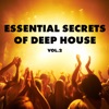 Essential Secrets of Deep House, Vol. 2