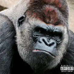 Ape Shit (feat. Floss Don, T-Time & Gq) Song Lyrics