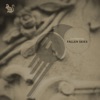 Fallen Skies - Single