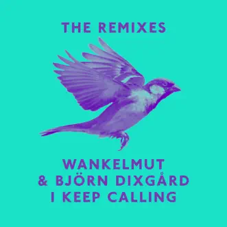 I Keep Calling (Remixes) by Wankelmut & Björn Dixgård album reviews, ratings, credits