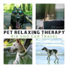 Pet Relaxing Therapy: Air and Car Travel, The Best Calming Music for Dogs & Cat Ears, Sleep Aid, Pet Relaxation - Pet Care Club