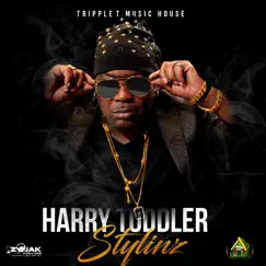 Stylinz - Single by Harry Toddler album reviews, ratings, credits