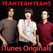 Yeah Yeah Yeahs - Gold Lion