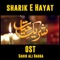 Shareek e Hayat OST - Sahir Ali Bagga lyrics