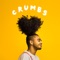 Crumbs (feat. Blasko) - Jordan Dennis lyrics