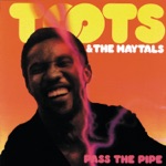 Toots & The Maytals - Get Up Stand Up