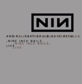 Nine Inch Nails - Head Like a Hole (Live)