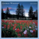 High Plains Lullaby - George Winston