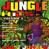 Jungle Hits, Vol. 1 artwork