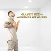 Hands High (Remix) - Single album lyrics, reviews, download