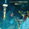 Perfect Rain (Remix) - Single