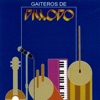 Gaiteros de Pillopo '88