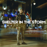 Matt Gudel - Shelter in the Storm artwork