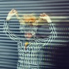 Junior Spirit - Single
