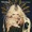 Little Bit of Lovin' by Elle King