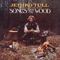 Jethro Tull - Songs from the Wood [Steven Wilson Stereo Remix]