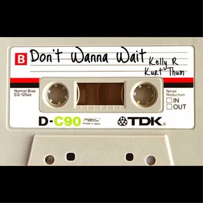 Don’t Wanna Wait - Single - R. Kelly