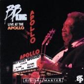 Nightlife (Live at the Apollo Theater) artwork