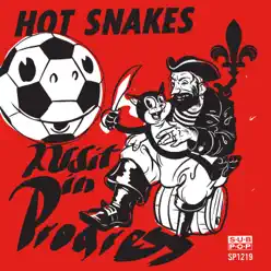 Audit in Progress - Hot Snakes