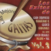 Las Mejores Gaitas, Vol. 2 artwork