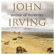 John Irving - Avenue of Mysteries