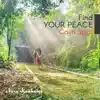 Find Your Peace (Calm Spirit) album lyrics, reviews, download