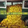 This Is Not a Marijuna Song - Single album lyrics, reviews, download