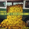 This Is Not a Marijuna Song - Single