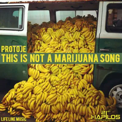 This Is Not a Marijuna Song - Single - Protoje