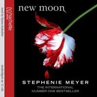 Stephenie Meyer - New Moon artwork