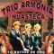 Xochitlpitzahuatl - Trio Armonia Huasteca lyrics