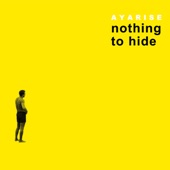 Nothing to Hide artwork