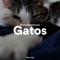 El color de tus ojos - Pet Couture lyrics