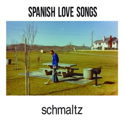 SCHMALTZ cover art