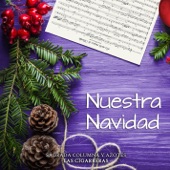 Nuestra Navidad artwork